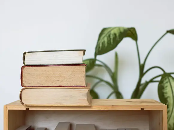 A shelf with three books and a plant